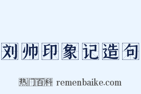 刘帅印象记造句是什么意思的图片